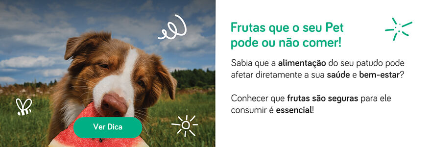 Frutas que o seu pet pode ou n&atilde;o comer!